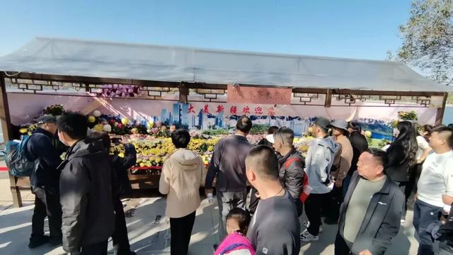 西北首秀绽异彩 米东区获第十五届中国菊花展览会金奖