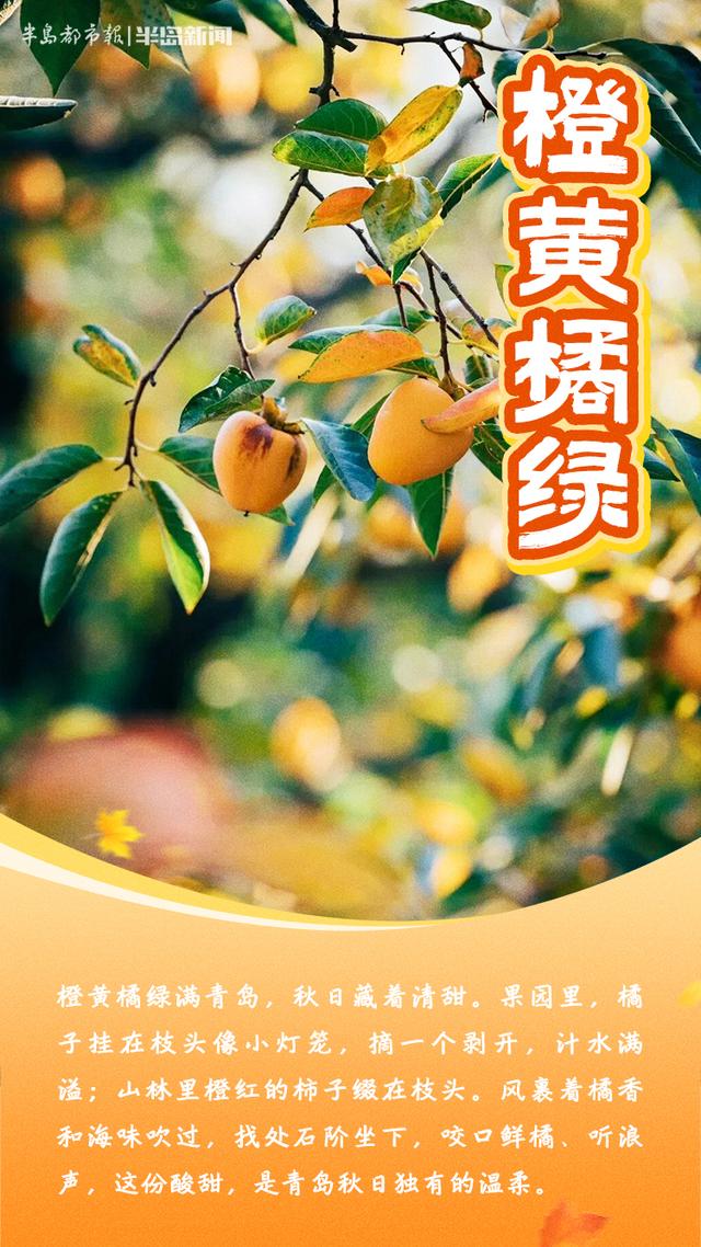 这里是青岛｜青岛秋味，藏在这些成语里
