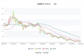 利通电子：2024年上半年净利润4194.51万元 同比增长54.26%图片