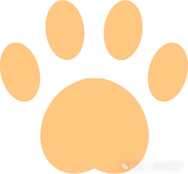 国庆假期去哪玩？从化温泉邀你解锁“农文旅体商”狂欢！