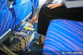 南航广州—上海虹桥航线首推“爱宠进客舱”服务图片