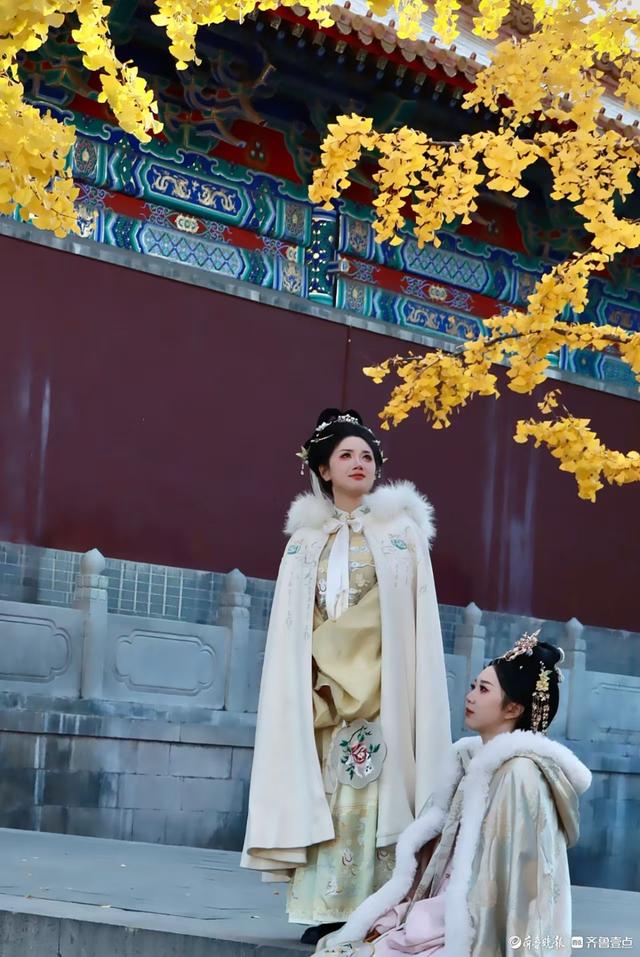 文庙秋韵，金叶叩红墙