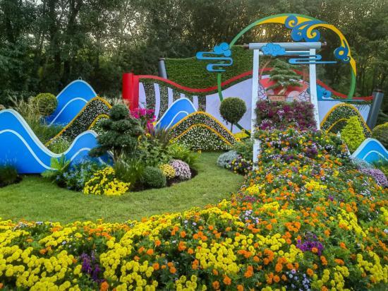 2025上海菊花展在共青森林公园举办 攻略请收好