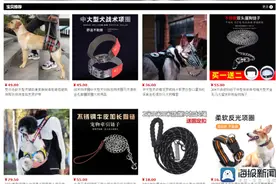 成都两岁女童被狗咬伤后，部分商家狗嘴套销量倍增图片