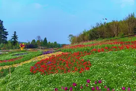 春游到乌当：赏花摘果露营品美食……图片