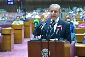 大打出手后 过去一夜印巴克制“交锋”图片