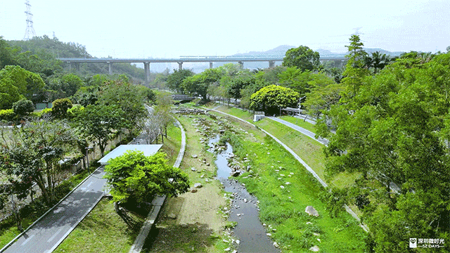 三大世界冠军助阵！直击2025梧桐山登高赛！