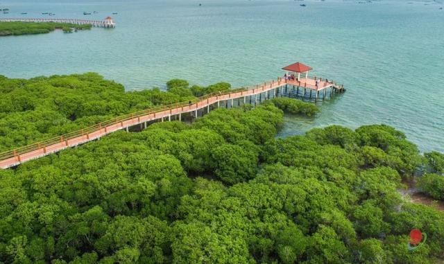 不做选择！湛江东西海岸旅游线路，我全都要！