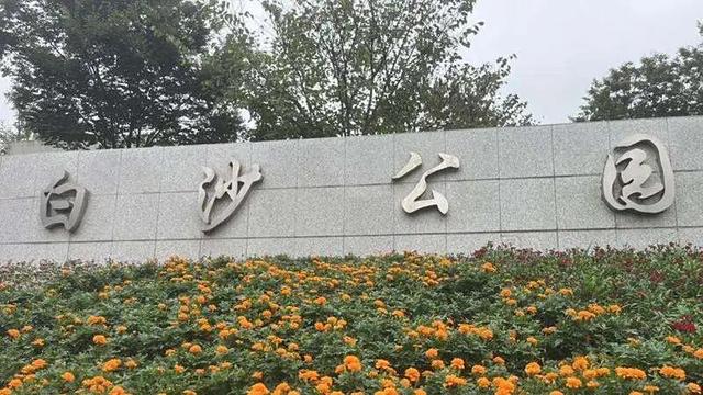 想拍秋日童话照？这里有大片的“粉红海洋”→