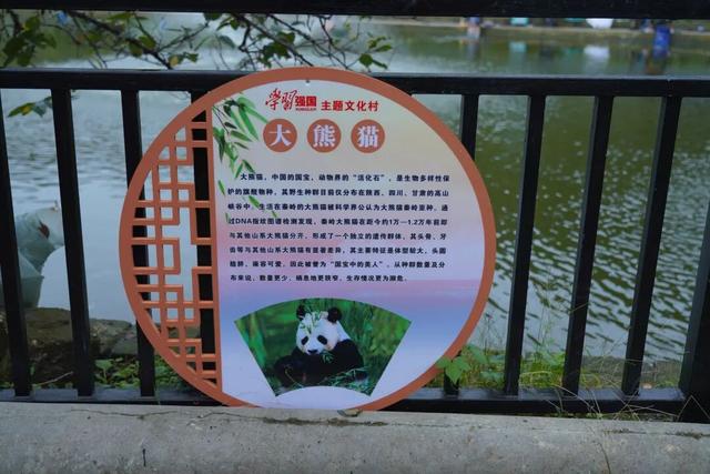 略阳事 | 沉浸式浏览！略阳“学习强国”主题文化村究竟藏着哪些宝藏？