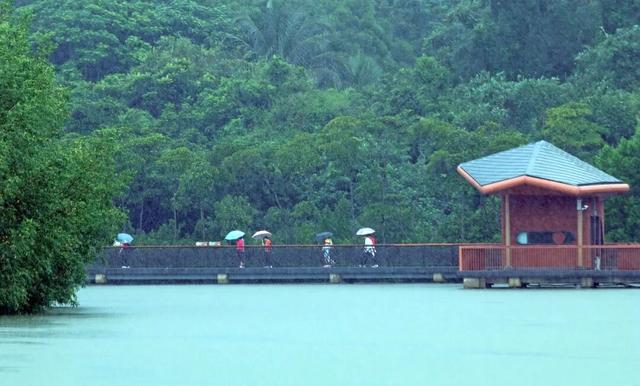 东寨港红树林研学进行时，自然课堂里的欢乐时光～