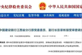 彭家彬被查！图片