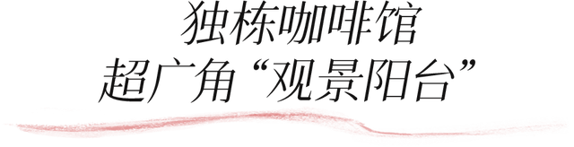 深圳环境五星的「网红公园」，不能再低调了