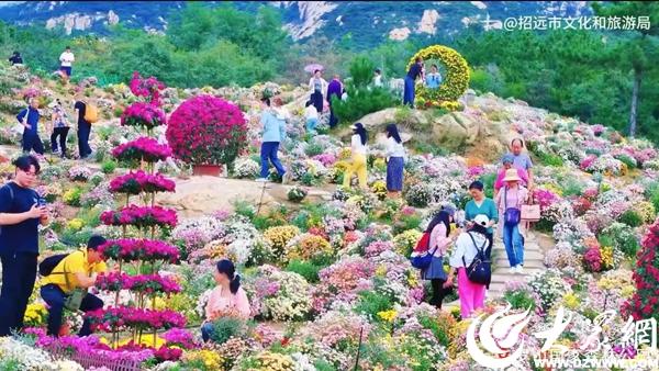 “双节”同庆人气旺，金都文旅绽芳华——招远十一黄金周文化旅游市场综述
