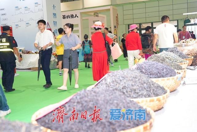 “泉・茶”盛宴第二天 市民共享文化茶香