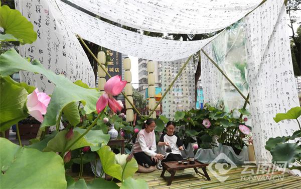 盛夏入伏时节 清凉春城引客来