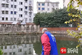 发挥网格巡查作用，守护河道环境图片