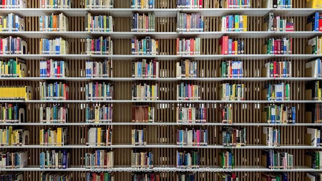 ​别再说深圳是文化沙漠！这份双馆暴走攻略，让你重新认识这座城市