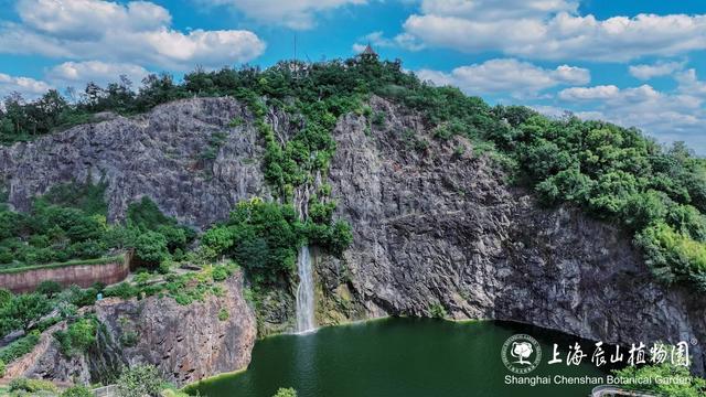 松江秋日限定：一半花海浪漫，一半园林诗意