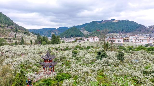 【高质量发展调研行】五年揽客超2200万,旅游收入破200亿——沿河“十四五”文旅融合交出亮眼成绩单