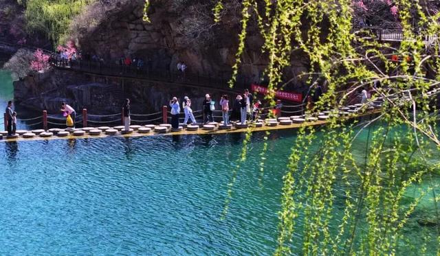 老家河南邀你赴一场春日盛宴！