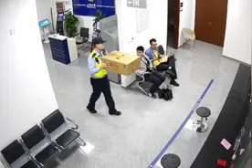 天降受伤红隼，警民联手救助图片