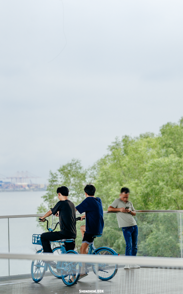 “看牛看海看夜景，深圳骑行路线精选”