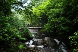 总有一款“凉”到你！湖南这些宝藏避暑地门票零元起图片