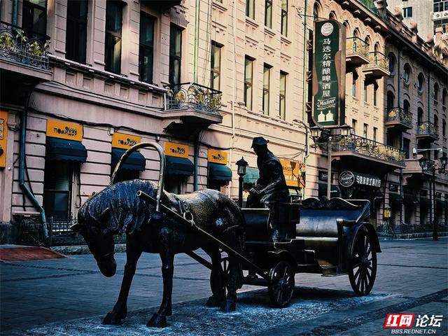 岁暖时刻丨来哈尔滨，一定要走一次中央大街