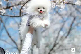 武汉2025，值得期待！图片