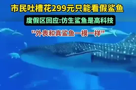 市民吐槽花299元只能看假鲨鱼，度假区回应:仿生鲨鱼是高科技，"外表和真鲨鱼一模一样"图片