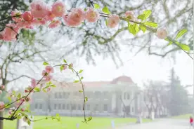 清华大学每月一主题系列开放活动热烈展开！打卡主题路线沉浸式体验不一样的清华园！图片