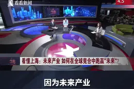 三个先导区透露了上海未来产业怎样的布局思路？图片