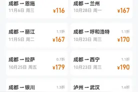 多地机票出现“白菜价”  网友：比火车票还便宜，很难不心动图片