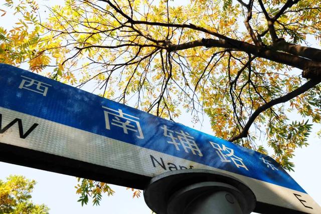 此时，闵行最美的地方就在……