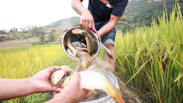 弥勒这里值得一去！好吃、好玩、好看…