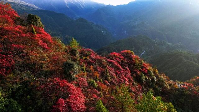 酉阳初冬美景合集：邂逅山间调色盘，每一帧都是壁纸！