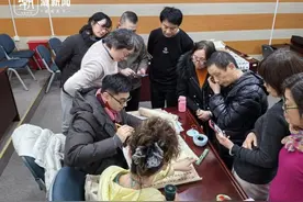 浙江省文化馆推出免费“艺术自习室” 自习版“夜校”击中了谁？图片
