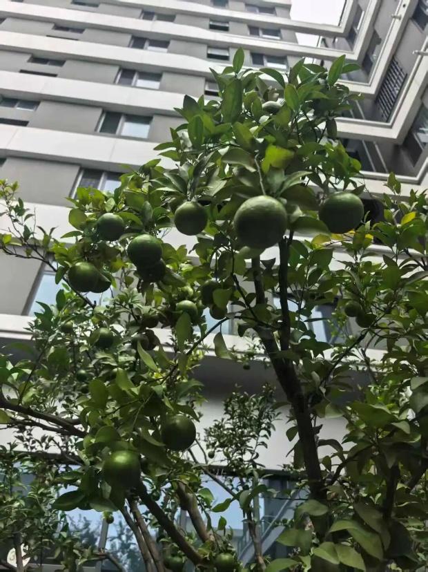 趁秋色浪漫，见一面吧