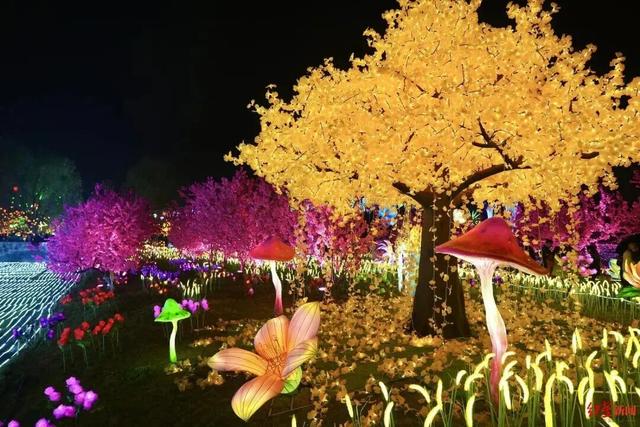 成都灯会集体官宣，期待值拉满~