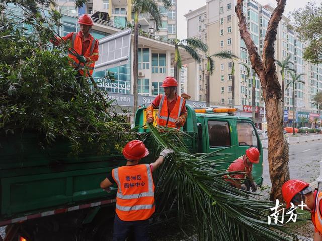 “桦加沙”过境后，珠海情侣路市民游客又多了起来｜一线直击