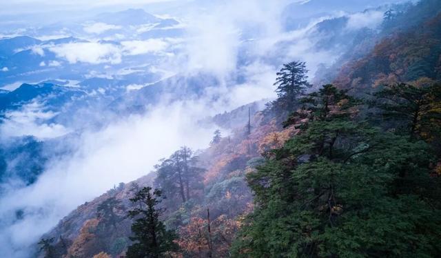 秋天徒步去哪儿？必须来趟【免门票】的瓦屋山！
