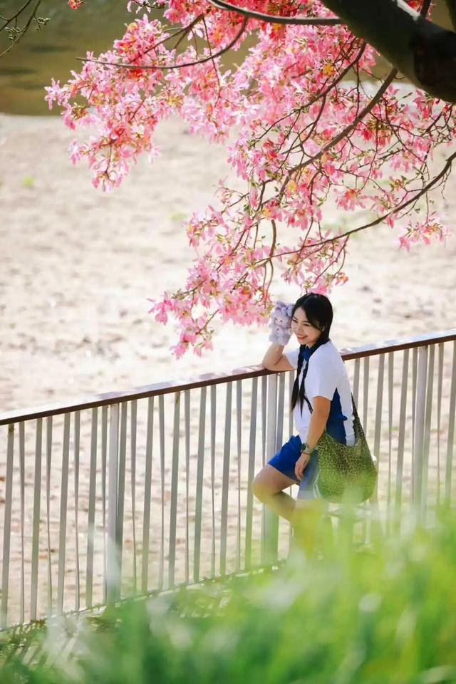 粉色花海，已开遍龙华