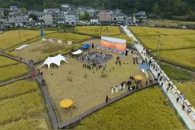 同心共助丰收季 绘就乡村共富新画卷图片
