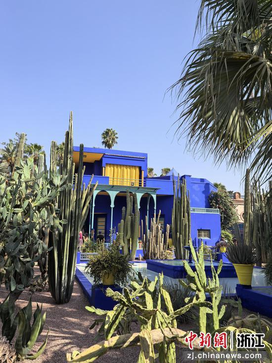 赭红与钴蓝：一座城的灵魂栖居