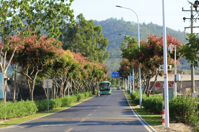 变了变了！秋日翔安，一路“繁花”