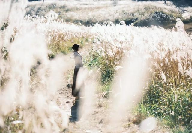 不赶行程的自由！屏南2天1夜，与草场、火凤凰、红柿子浪漫相遇