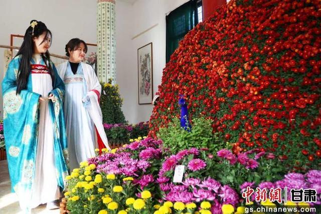 张掖甘州首届菊花文化月启幕 万菊绽放醉游人