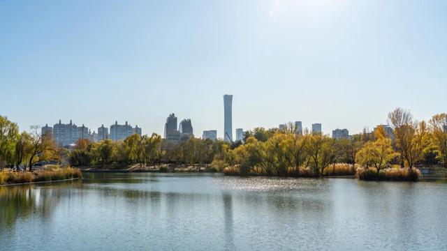 今年，朝阳有“加长版”秋日心动