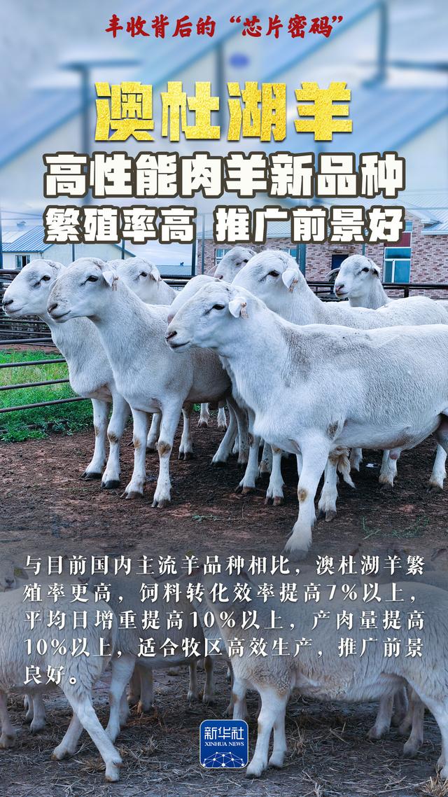 丰收背后的“芯片密码”